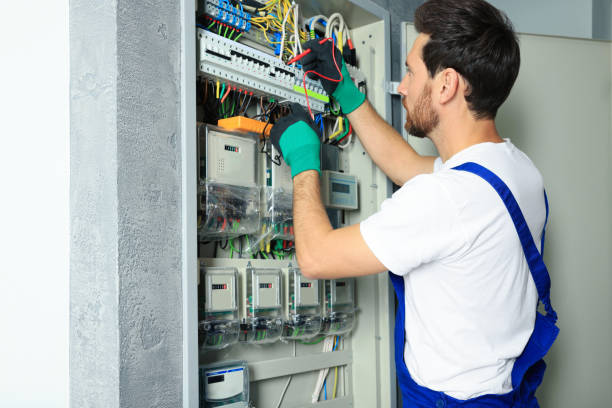 Best Ceiling Fan Installation Electrician  in Taft Heights, CA
